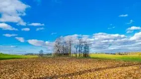 Piękna mazurska złota jesień, listopad 2019 - zdjęcie 30