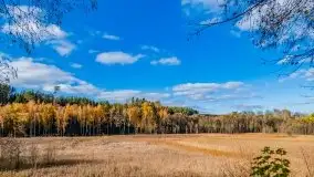 Piękna mazurska złota jesień, listopad 2019 - zdjęcie 10