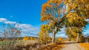 Piękna mazurska złota jesień, listopad 2019 - zdjęcie 34