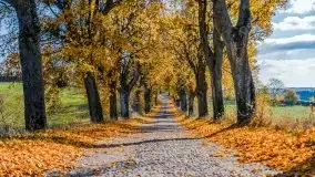 Piękna mazurska złota jesień, listopad 2019 - zdjęcie 28