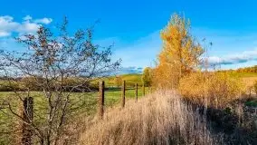 Piękna mazurska złota jesień, listopad 2019 - zdjęcie 2