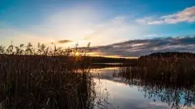 Jesień w okolicach jeziora Okrągłe, listopad 2020 - zdjęcie 4