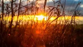 Jesień w okolicach jeziora Okrągłe, listopad 2020 - zdjęcie 3