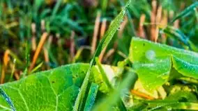 Jesienne Mazury, okolice jezior Niegocin i wojnowo - zdjęcie 22