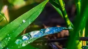 Jesienne Mazury, okolice jezior Niegocin i wojnowo - zdjęcie 25