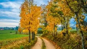 Jesienne Mazury na zdjęciach Staszka Sielewicza - zdjęcie 3