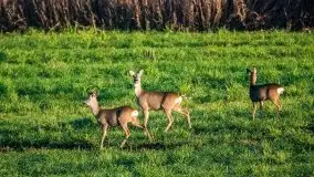 Jesienne Mazury na zdjęciach Staszka Sielewicza - zdjęcie 6
