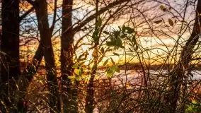 Zachód słońca i resztki jesieni nad jeziorem Ołów - zdjęcie 14