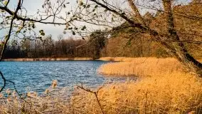 Zachód słońca i resztki jesieni nad jeziorem Ołów - zdjęcie 10