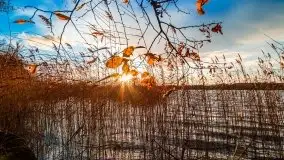 Zachód słońca i resztki jesieni nad jeziorem Ołów - zdjęcie 25