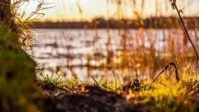 Zachód słońca i resztki jesieni nad jeziorem Ołów - zdjęcie 26