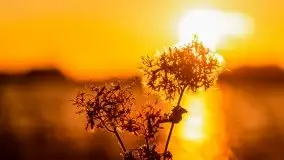 Zachód słońca i resztki jesieni nad jeziorem Ołów - zdjęcie 29