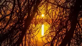 Pierwszy śnieg i wschód słońca nad jeziorem Boczne - zdjęcie 52