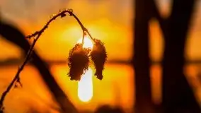 Pierwszy śnieg i wschód słońca nad jeziorem Boczne - zdjęcie 100