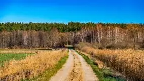 Listopadowe klimaty na bezdrożach Mazur - zdjęcie 6