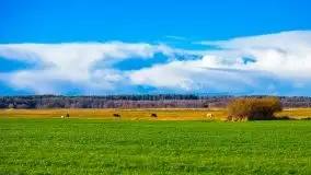 Listopadowe klimaty na bezdrożach Mazur - zdjęcie 35