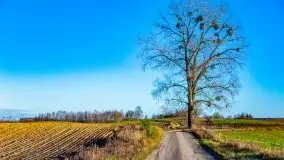 Listopadowe klimaty na bezdrożach Mazur - zdjęcie 34