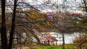 Leśne klimaty w okolicach Wydmin - zdjęcie 6