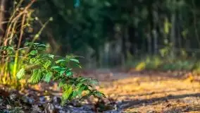 Leśne klimaty w okolicach Wydmin - zdjęcie 25