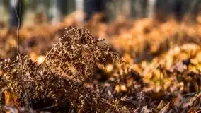 Leśne klimaty w okolicach Wydmin - zdjęcie 5