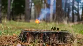 Miał być zachód słońca, a skończyło się na ognisku - zdjęcie 8