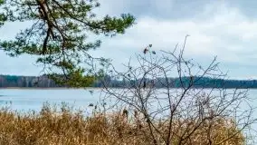 Miał być zachód słońca, a skończyło się na ognisku - zdjęcie 5