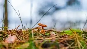 Miał być zachód słońca, a skończyło się na ognisku - zdjęcie 20