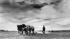 Przedwojenne zdjęcia Mikołajek (Nikolaiken) - zdjęcie 91