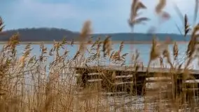 Wschód słońca przy moście Sztynorckim i jeziorze Dargin - zdjęcie 8