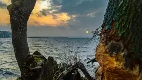 Wschód słońca przy moście Sztynorckim i jeziorze Dargin - zdjęcie 28