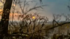 Wschód słońca przy moście Sztynorckim i jeziorze Dargin - zdjęcie 40