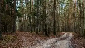 Krutynia i Nowy Mostek w grudniowych zdjęciach - zdjęcie 15