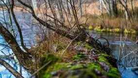 Krutynia i Nowy Mostek w grudniowych zdjęciach - zdjęcie 43