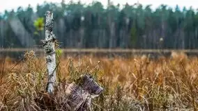 Krutynia i Nowy Mostek w grudniowych zdjęciach - zdjęcie 50