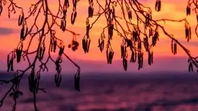 Piękny, grudniowy wschód słońca nad jeziorem Święcajty, 2020 - zdjęcie 9