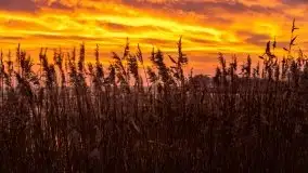 Piękny, grudniowy wschód słońca nad jeziorem Święcajty, 2020 - zdjęcie 4