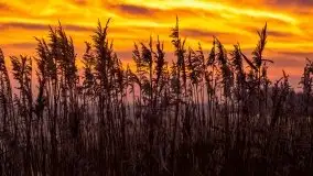 Piękny, grudniowy wschód słońca nad jeziorem Święcajty, 2020 - zdjęcie 19