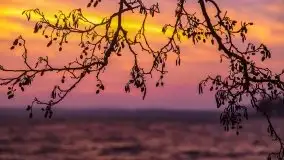 Piękny, grudniowy wschód słońca nad jeziorem Święcajty, 2020 - zdjęcie 32