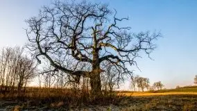 Grudniowe Mazury na zdjęciach Stanisława Sielewicza - zdjęcie 8