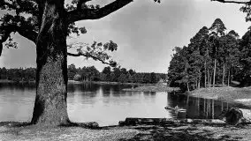 Przedwojenne zdjęcia Rucianego Nidy (Rudczanny, Niedersee) - zdjęcie 137