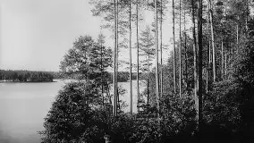 Przedwojenne zdjęcia Rucianego Nidy (Rudczanny, Niedersee) - zdjęcie 64