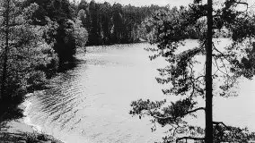 Przedwojenne zdjęcia Rucianego Nidy (Rudczanny, Niedersee) - zdjęcie 57