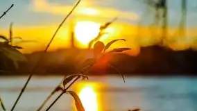 Grudniowy zachód słońca w Kętrzynie, 2020 - zdjęcie 38