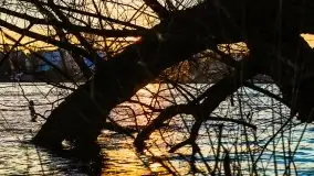 Grudniowy zachód słońca w Kętrzynie, 2020 - zdjęcie 31