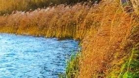 Grudniowy zachód słońca w Kętrzynie, 2020 - zdjęcie 22