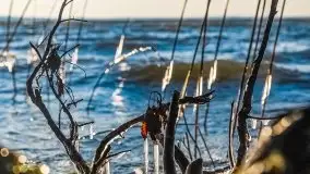 Wietrzne i jesienne jezioro Śniardwy, grudzień 2020 r. - zdjęcie 1