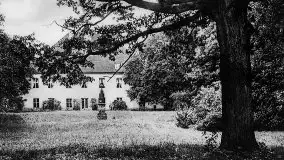 Przedwojenne zdjęcia Sztynortu (Steinort) - zdjęcie 1