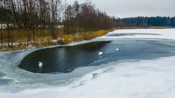 Zimowe i pochmurne kolory Mazur w okolicach Kruklanek - zdjęcie 1