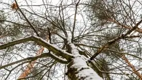 Zimowe i pochmurne kolory Mazur w okolicach Kruklanek - zdjęcie 31