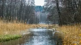 Zimowe i pochmurne kolory Mazur w okolicach Kruklanek - zdjęcie 14